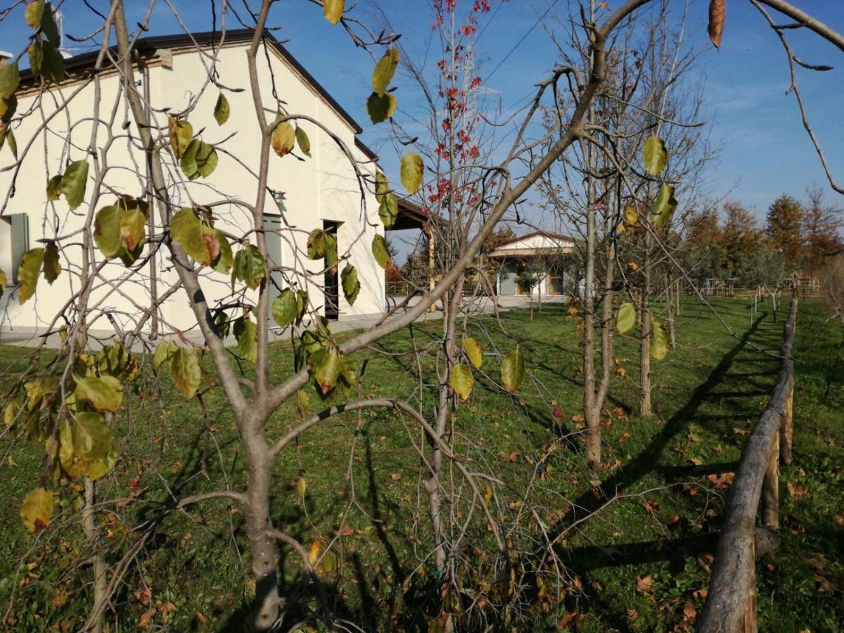 Agriturismo Corte Benetti Ροβίγκο Εξωτερικό φωτογραφία